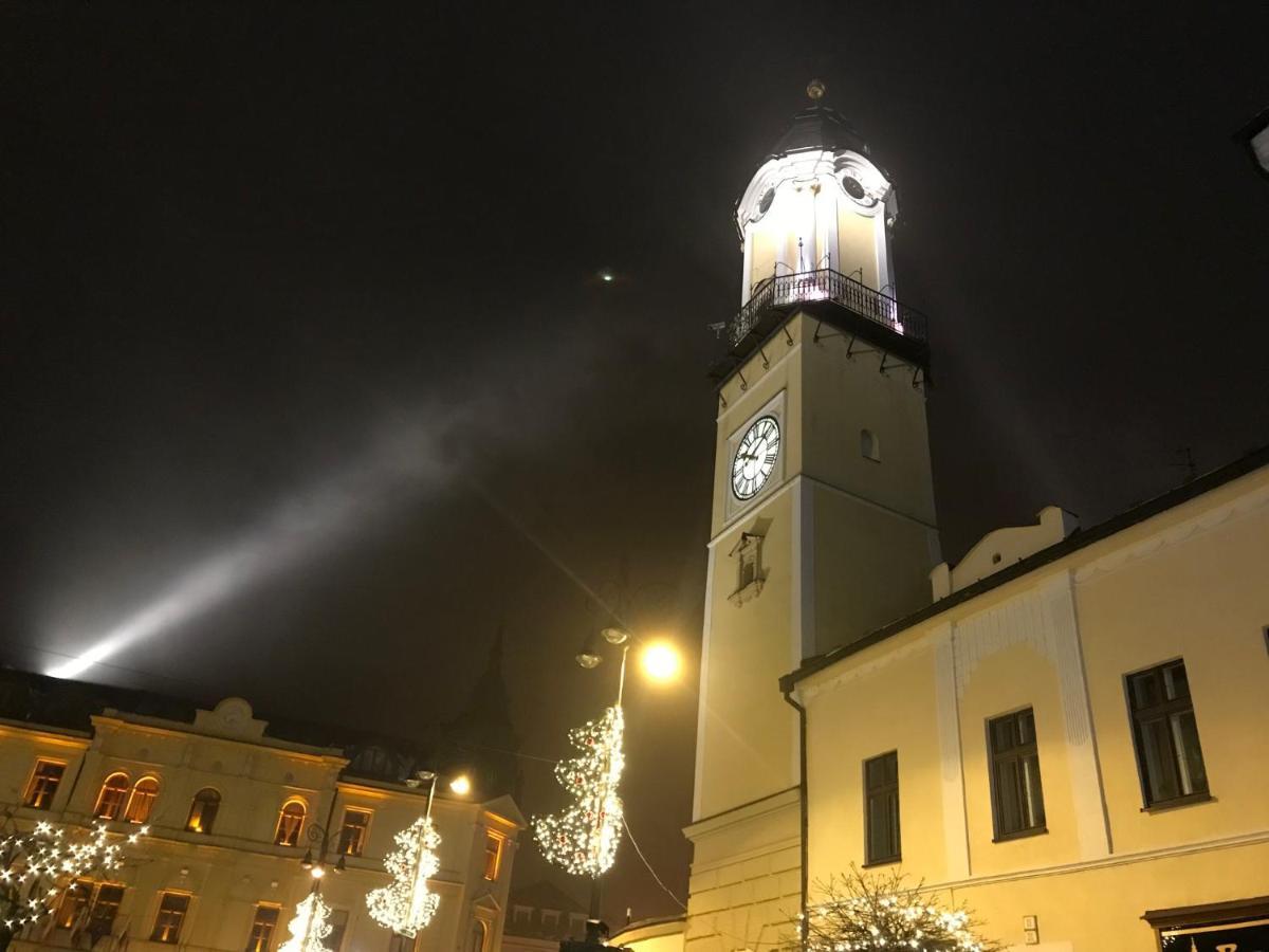 Bl - The Executive Suite, Boru - 24Hr Self Check-In, Free Private Parking, Balcony With Mountain View, 5 Minute Walk To City Center Banska Bystrica Exterior photo