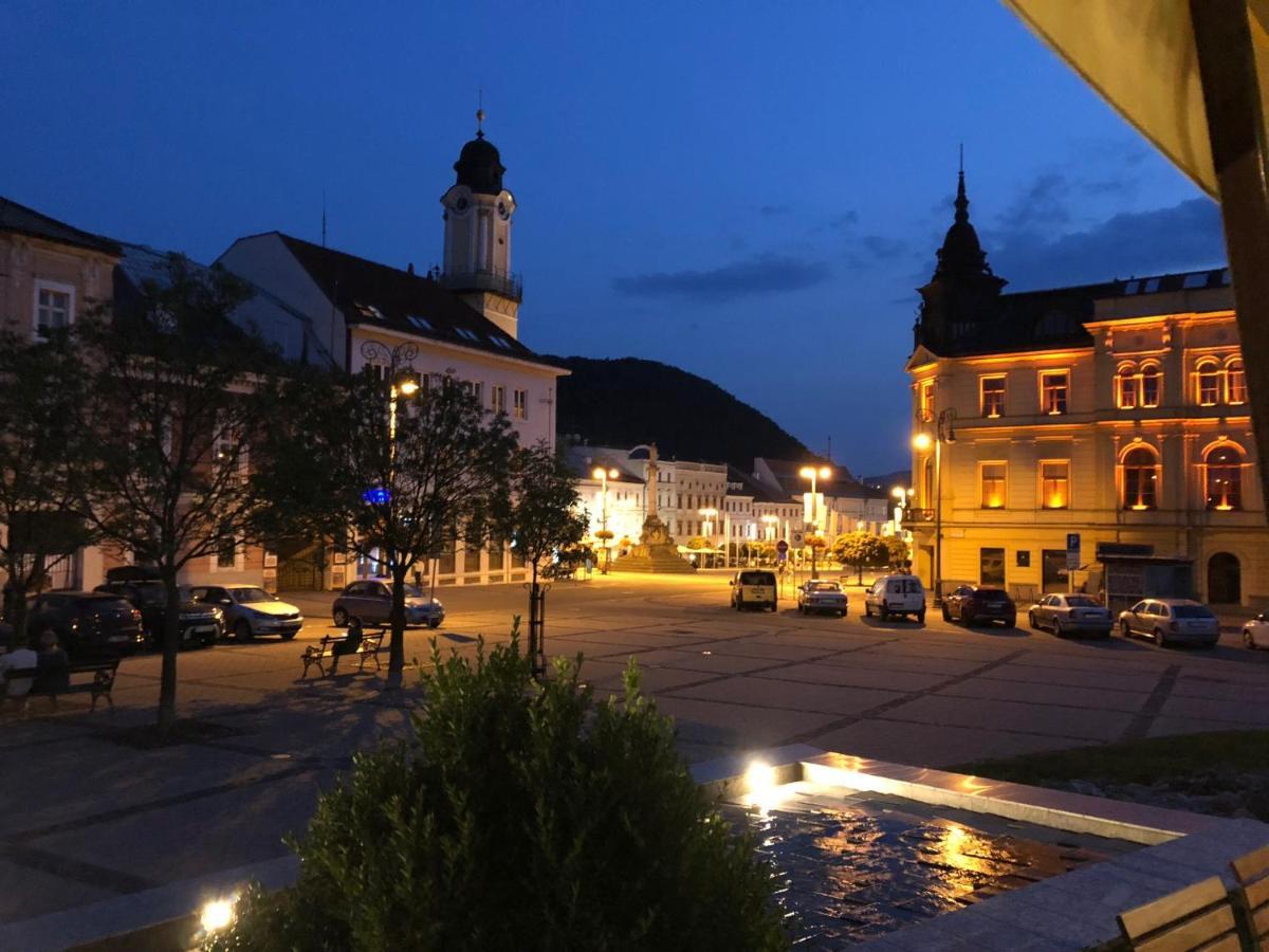 Bl - The Executive Suite, Boru - 24Hr Self Check-In, Free Private Parking, Balcony With Mountain View, 5 Minute Walk To City Center Banska Bystrica Exterior photo