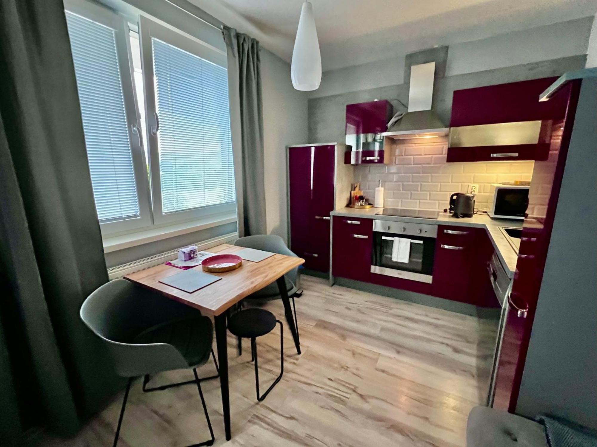 Bl - The Executive Suite, Boru - 24Hr Self Check-In, Free Private Parking, Balcony With Mountain View, 5 Minute Walk To City Center Banska Bystrica Exterior photo